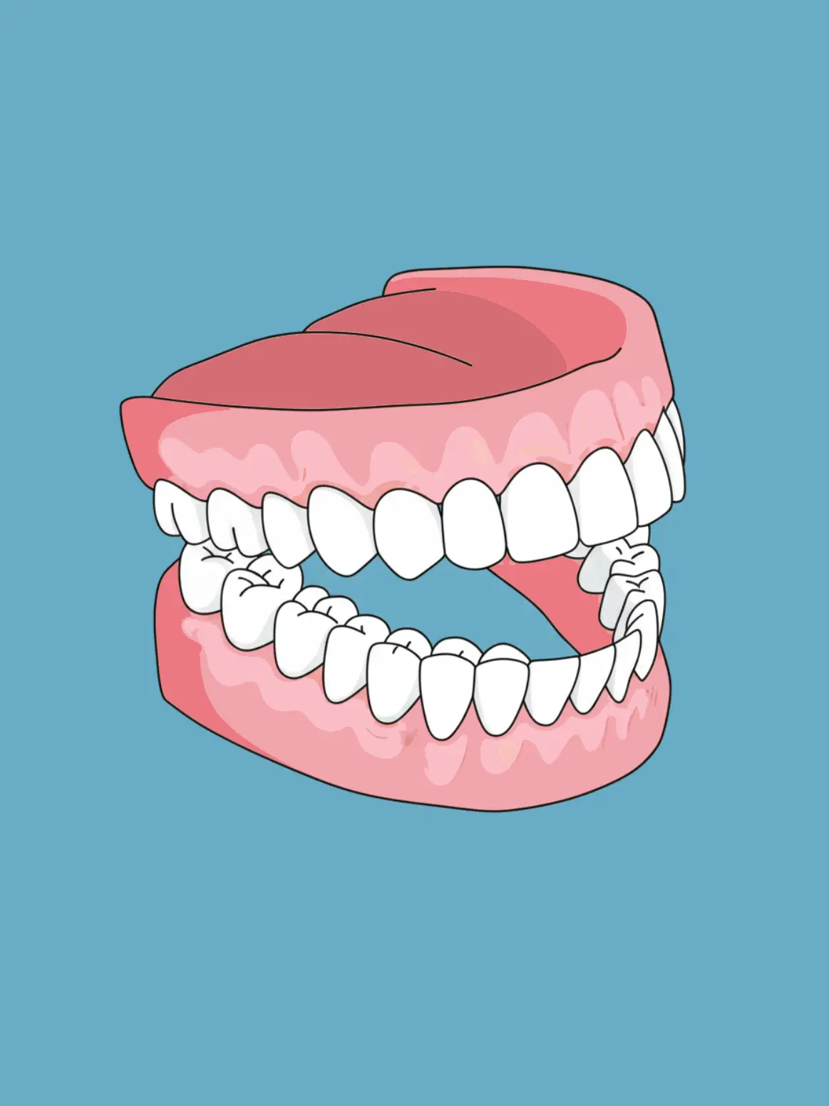 Rehabilitación estética